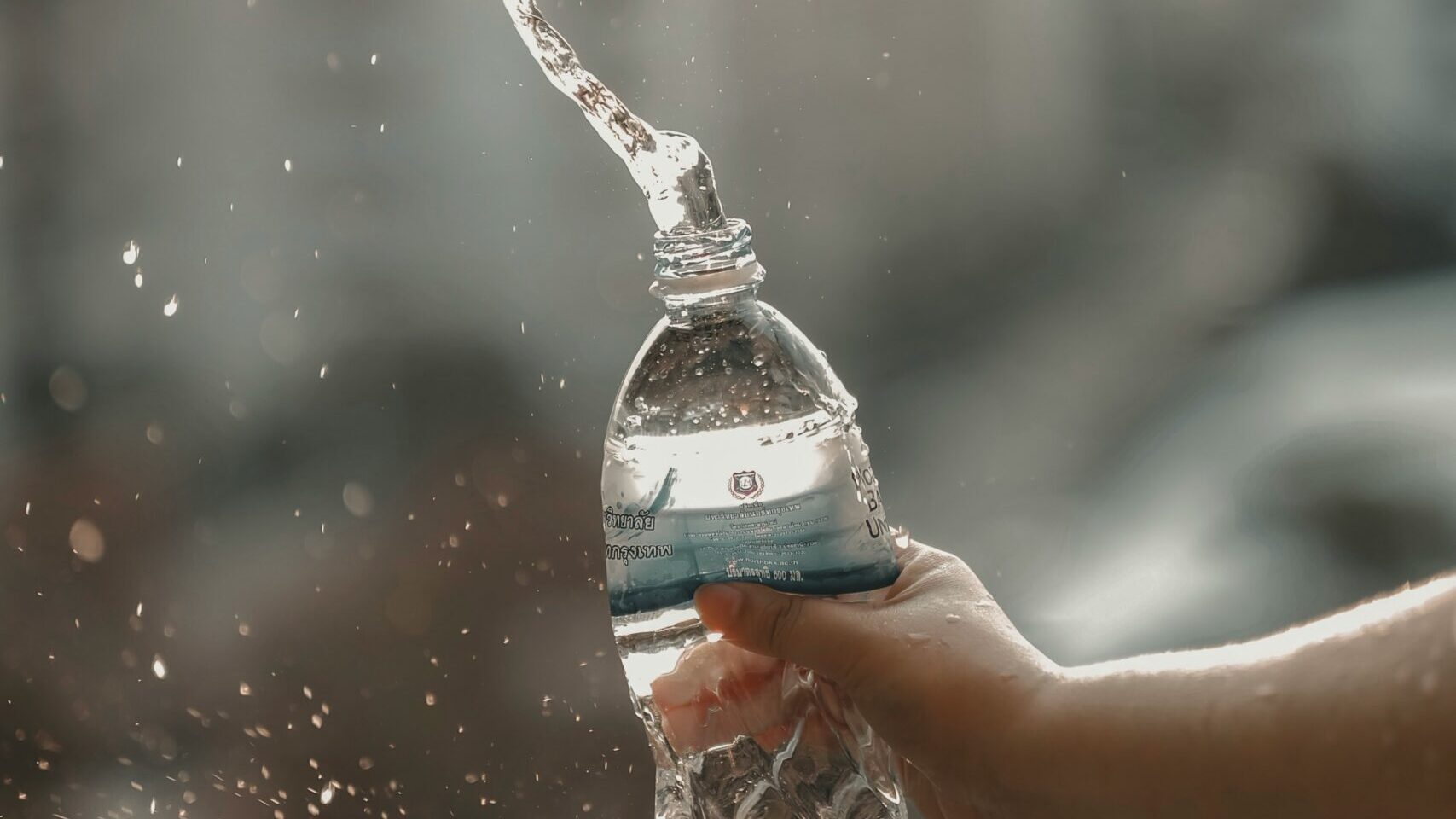 ペットボトルから水筒。